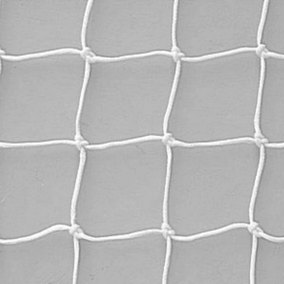 Plasă poarta 2x1, 3mm 10x10cm demo