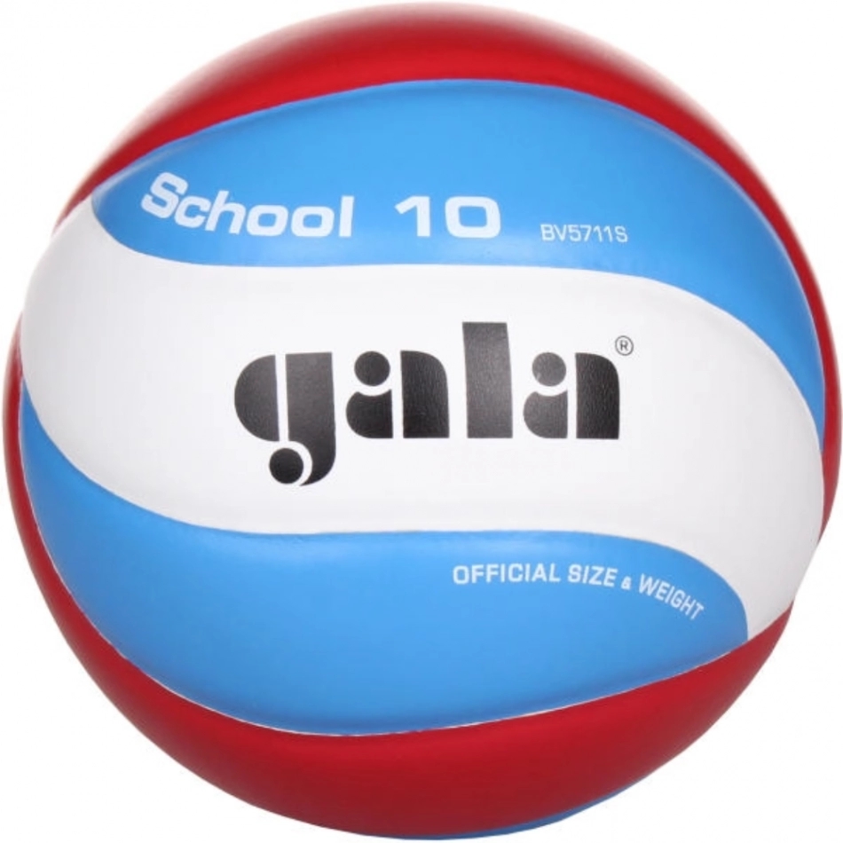 Gala School minge volei demo