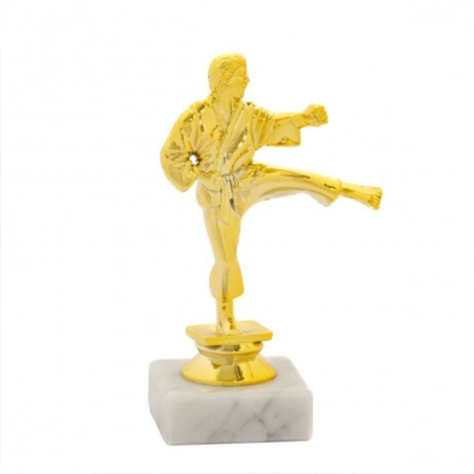 Statueta karate FK03G demo